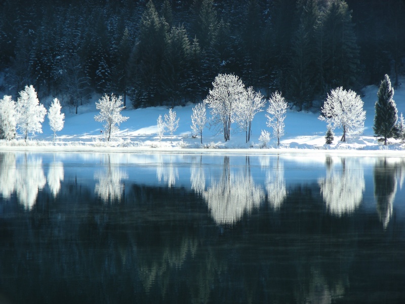 Natur genießen - Der Weissensee im Winter