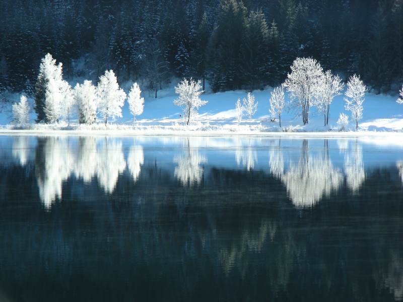 Winter am Weissensee