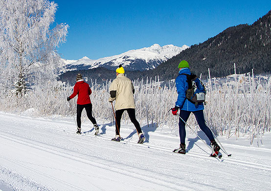 Cross-country skiing