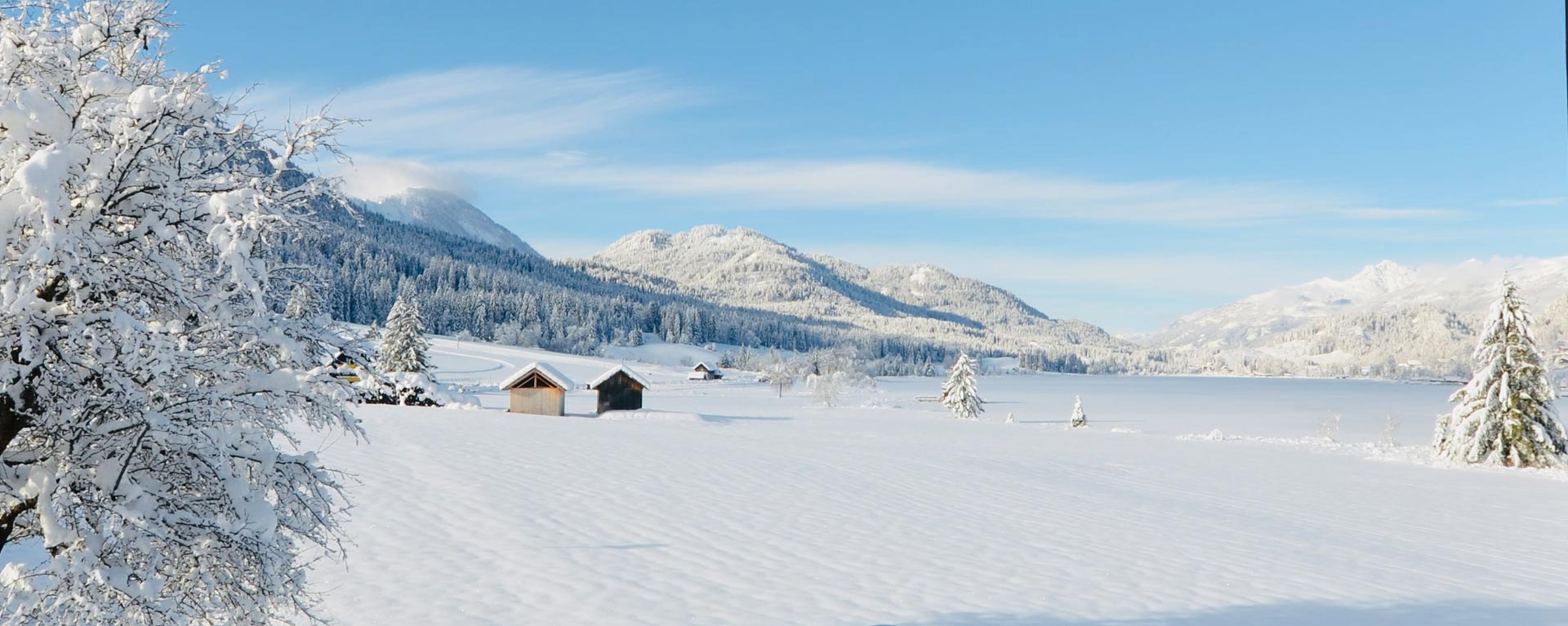 Bild Weissensee /Winter